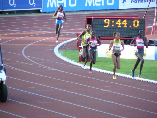 P1000876.JPG
